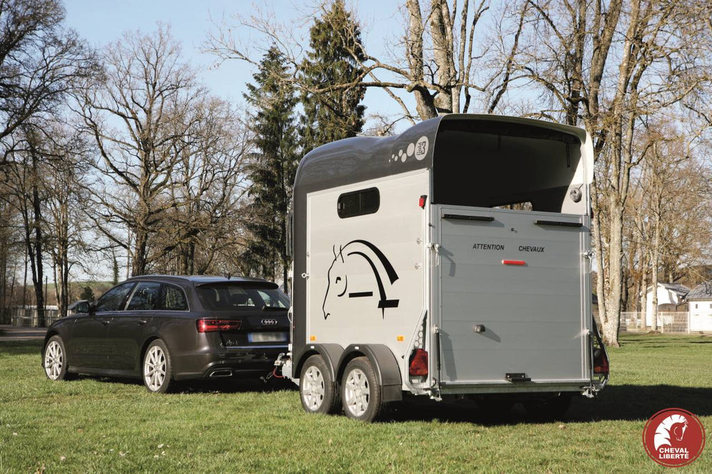 Van Cheval Liberté Gold 3 Luxe 2-seater – Image 4