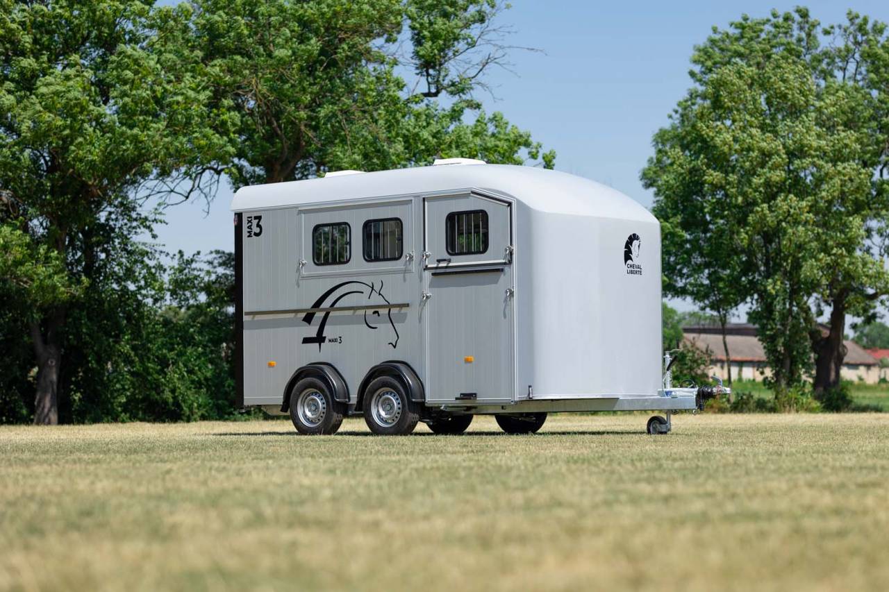 Van Minimax – Maxi 3 – Image 2