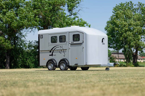 Van Minimax – Maxi 3 – Image 2
