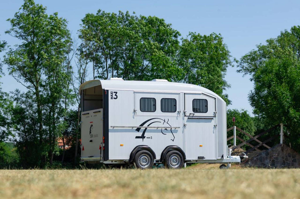Van Minimax – Maxi 3 – Image 3