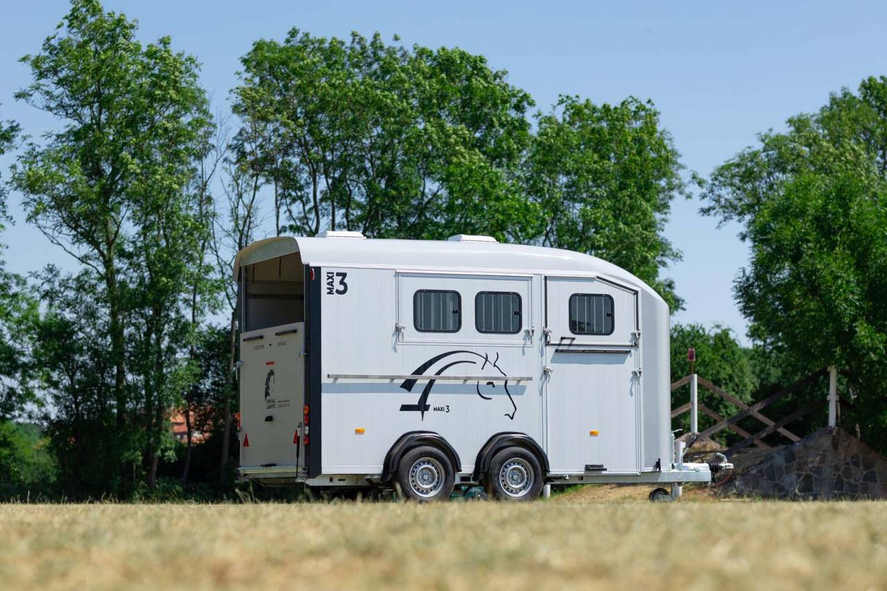 Van Minimax – Maxi 3 – Image 3