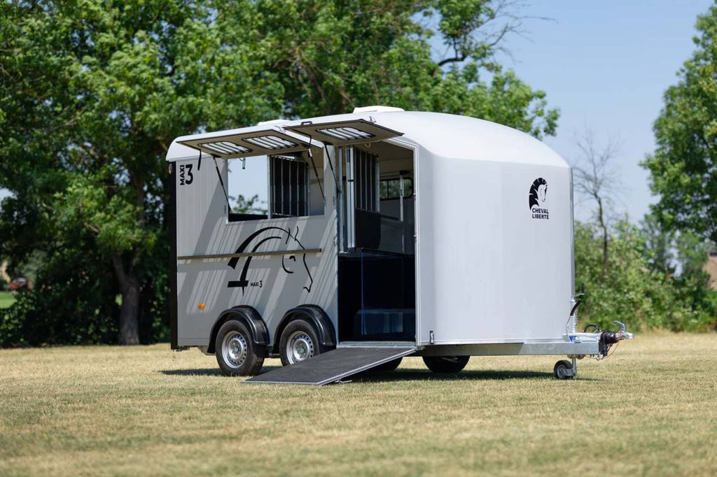 Van Minimax – Maxi 3 – Image 1