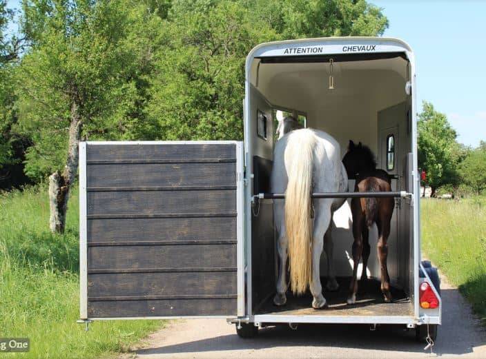 Van Cheval Liberte – 1.5 Pl Touring One – Image 5