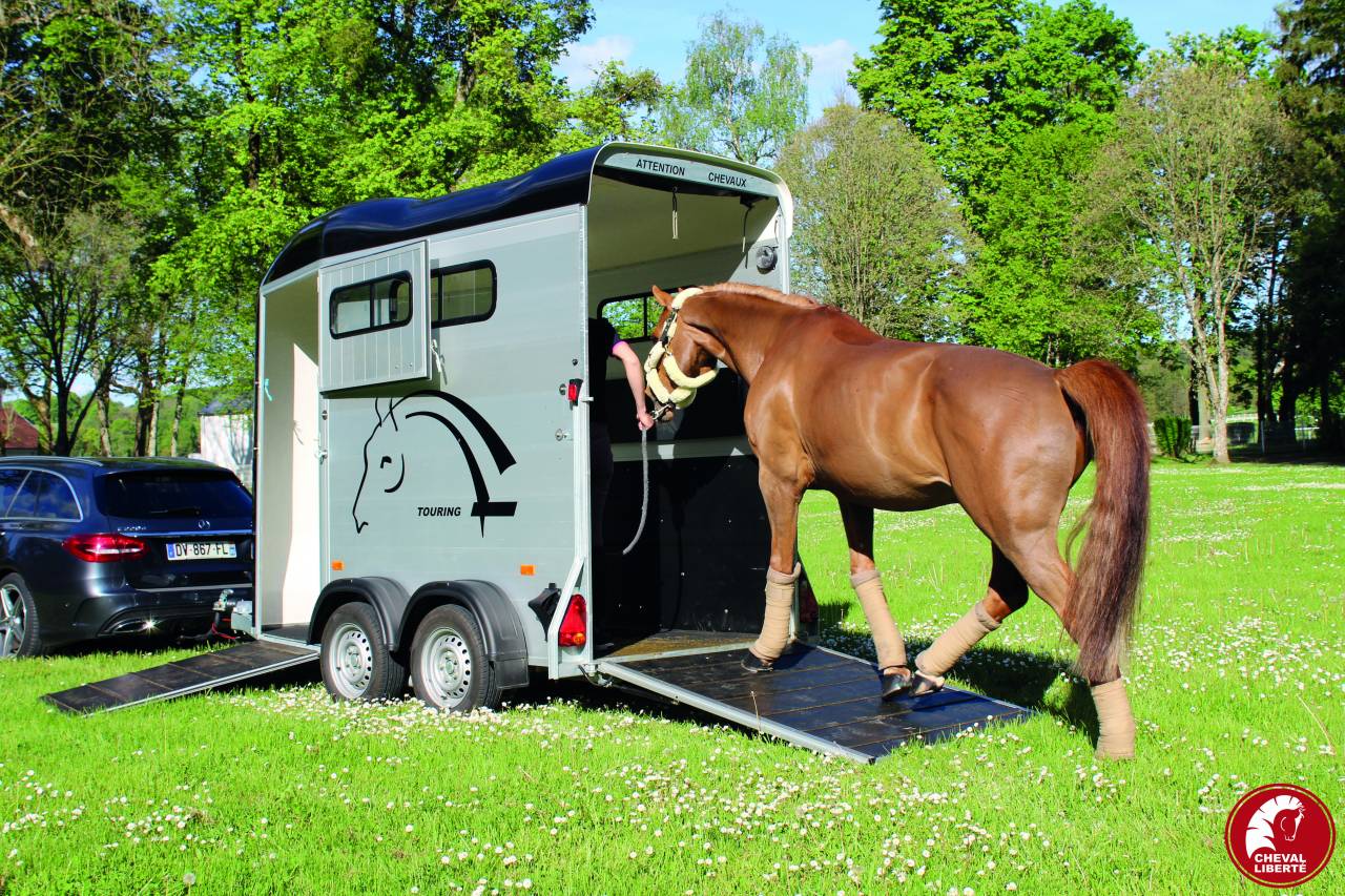 Van Cheval Touring One – 1.5 PL – Image 6