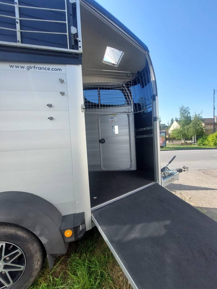 Van HBX511, spacious 2-horse trailer – 2019 – Image 5