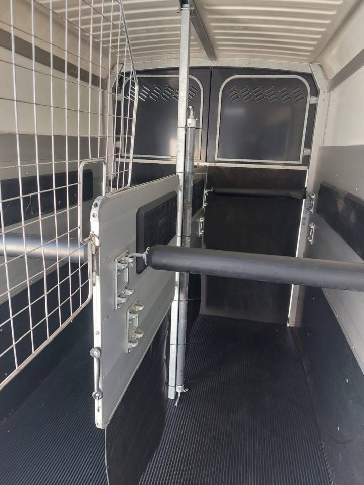 Van HBX511, 2 places pour chevaux spacieux – 2019 – Image 8