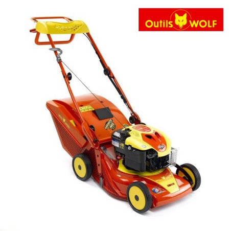 Tondeuse Outils Wolf RM41B : Qualité et Performance – Image 3